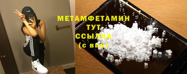 индика Мегион
