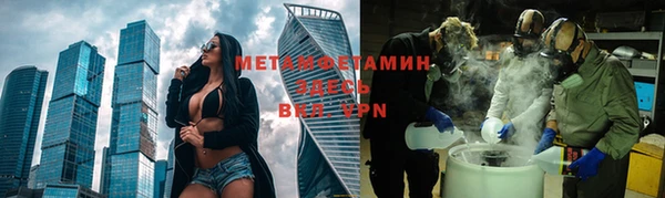 индика Мегион