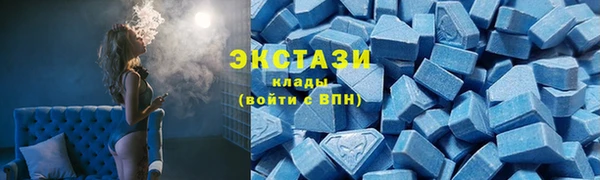 индика Мегион