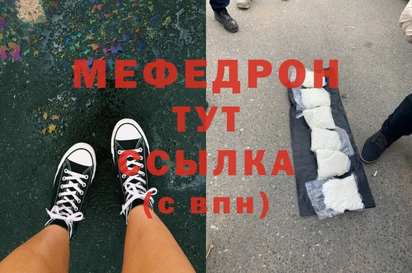 индика Мегион