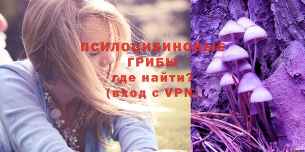 a pvp Медвежьегорск