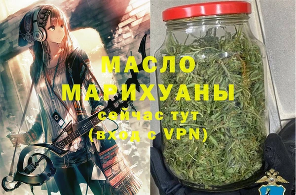 индика Мегион