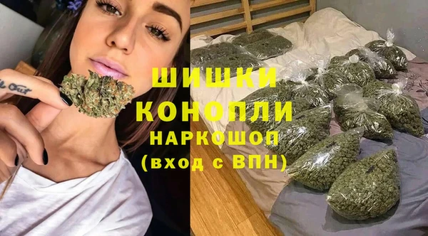 прущие грибы Аксай