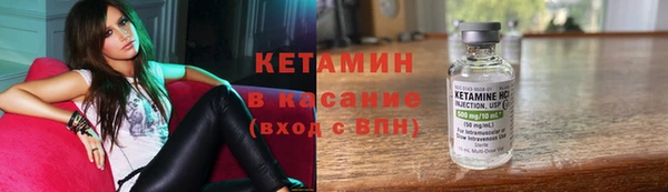 индика Мегион