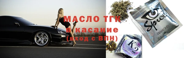 индика Мегион