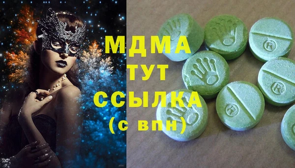 индика Мегион
