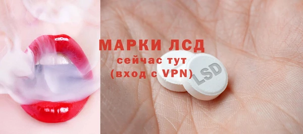 сатива Медногорск