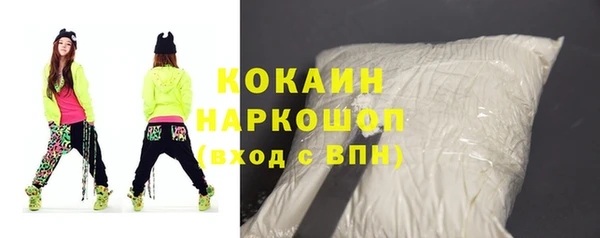индика Мегион