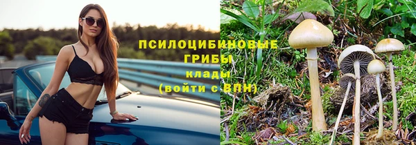 герыч Михайлов