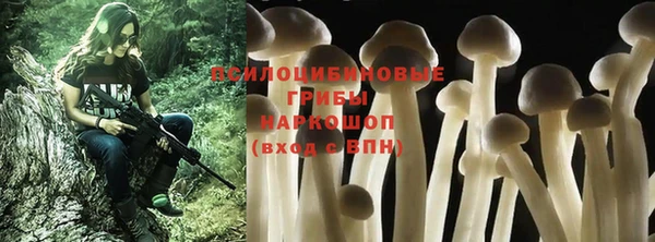 сатива Медногорск