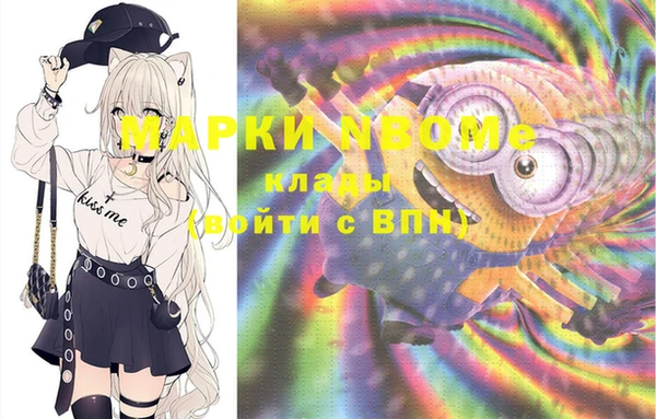 индика Мегион