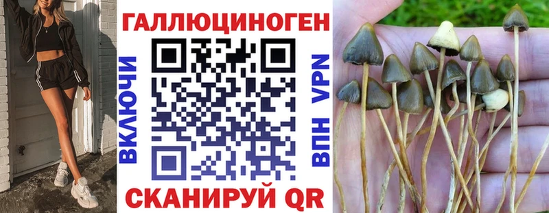 где найти наркотики  Дзержинск  KRAKEN tor  Псилоцибиновые грибы MAGIC MUSHROOMS 