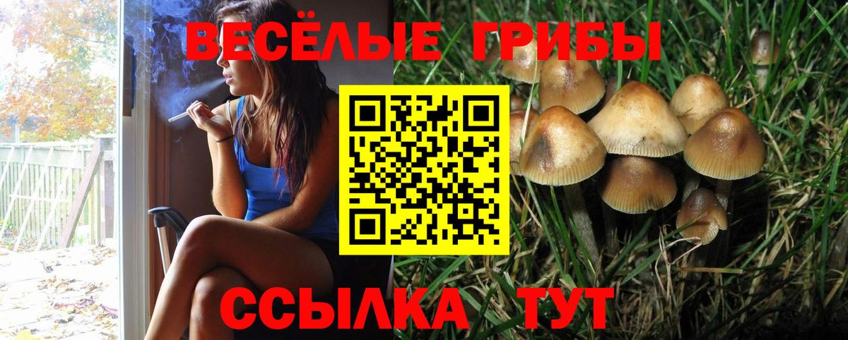 Псилоцибиновые грибы MAGIC MUSHROOMS  Дзержинск  Псилоцибиновые грибы мицелий 
