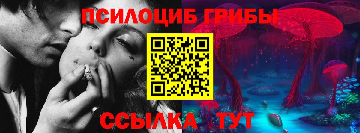 МЕФ Дзержинск