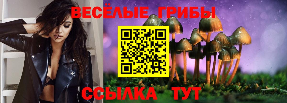 Псилоцибиновые грибы мицелий Дзержинск