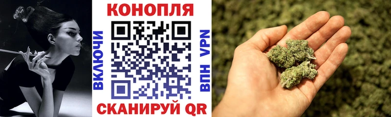купить наркотики цена  Дзержинск  Бошки марихуана Bruce Banner 